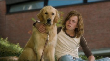 Die Auserwählten 2014 HD